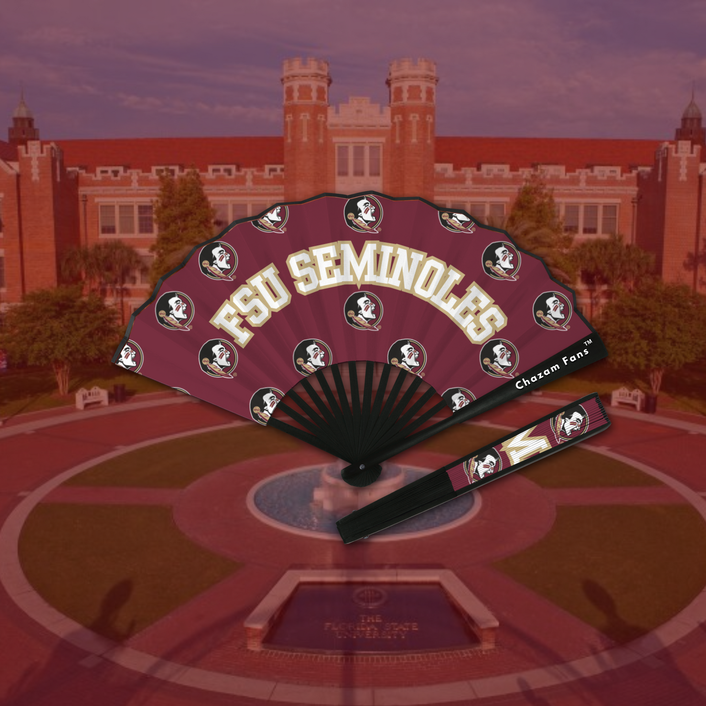 FSU Seminoles Chazam Fan