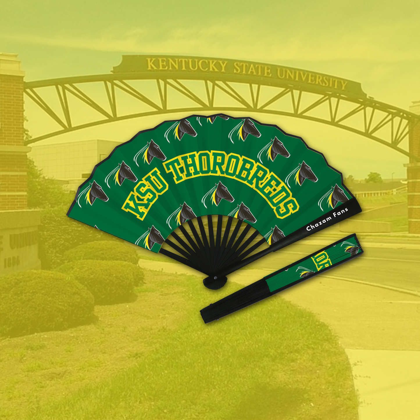 KSU Thorobreds Chazam Fan
