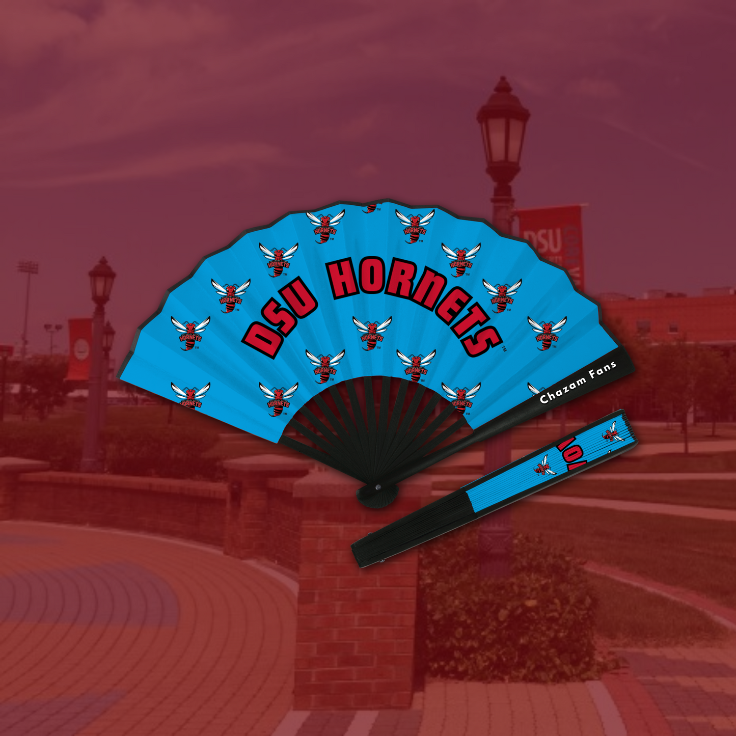 DSU Hornets Chazam Fan