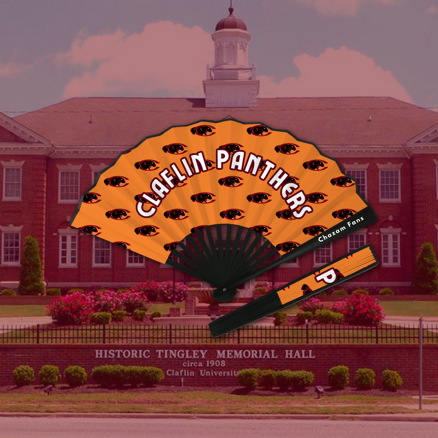 Claflin Panthers Chazam Fan