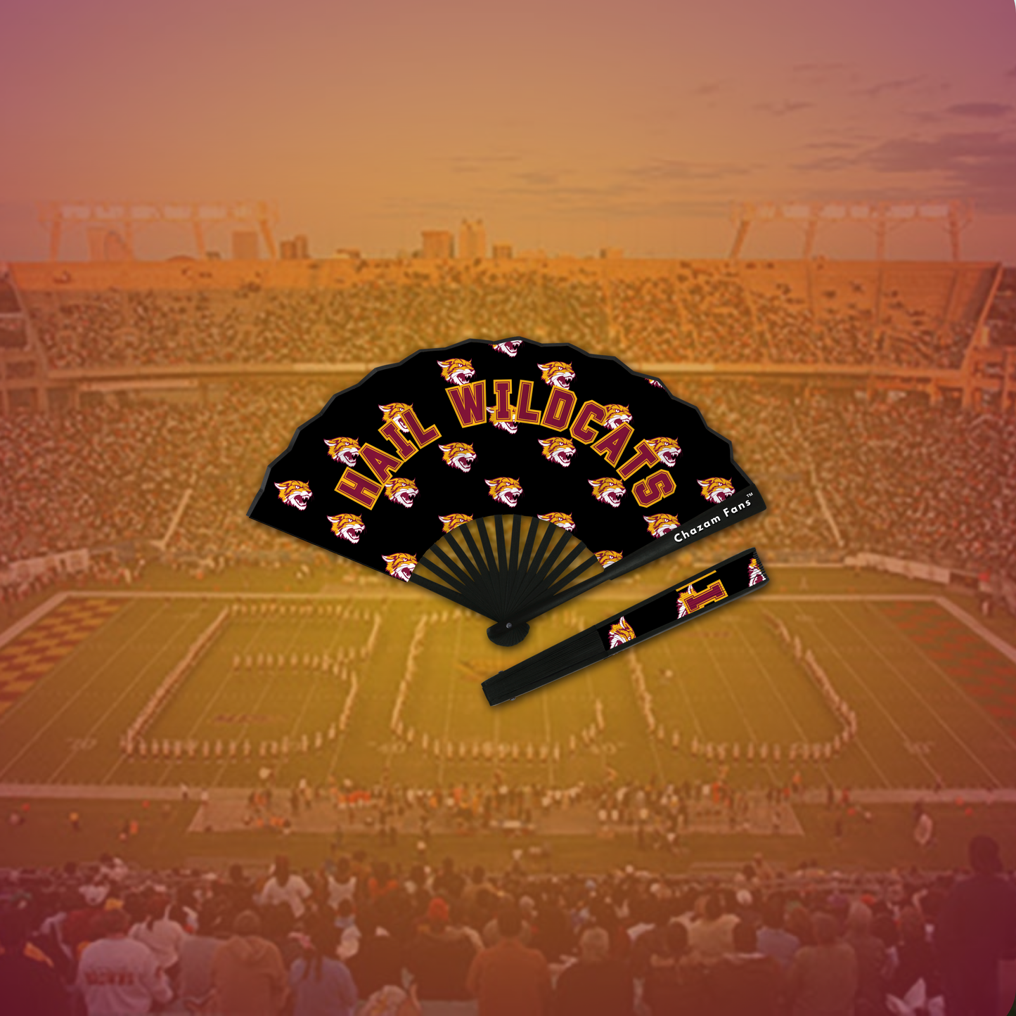 Hail Wildcats Chazam Fan