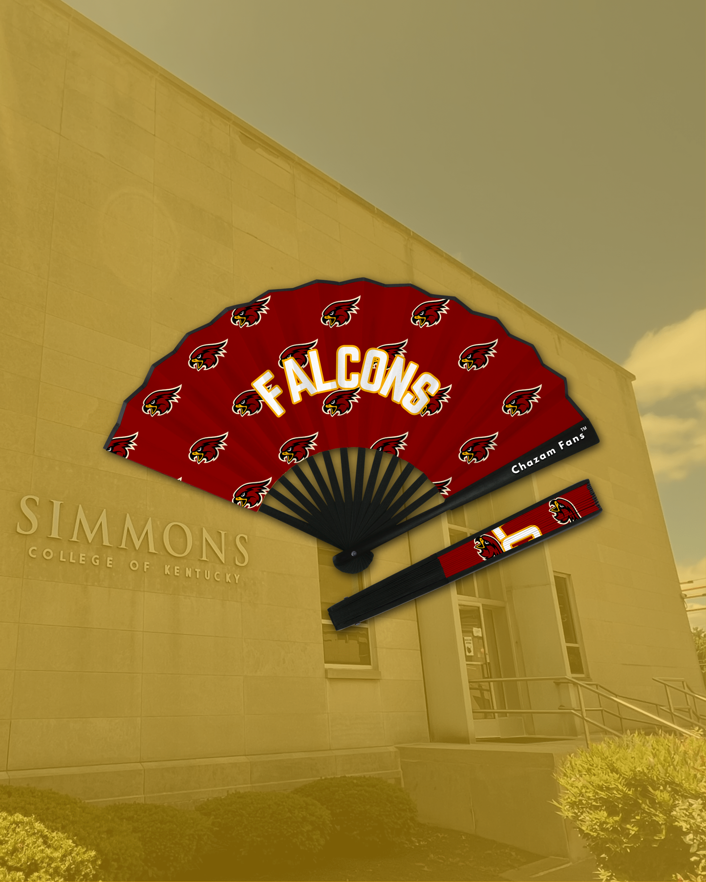 Simmons College Falcons Chazam Fan