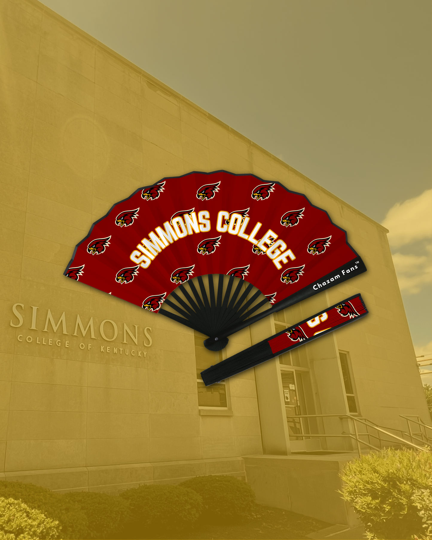 Simmons College Falcons Chazam Fan